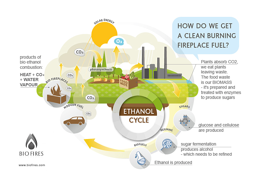 bio fuel infograph No1